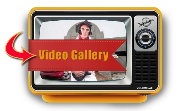 video-gallery
